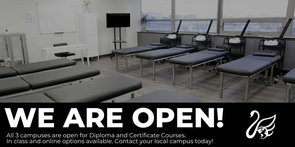 International Beauty Institute Toronto, Mississauga & Hamilton